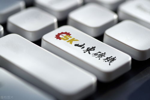 山東礦機(jī) 財報揭示股價低迷，互聯(lián)網(wǎng)游戲服務(wù)轉(zhuǎn)型挑戰(zhàn)重重
